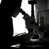 STEM student looking through a telescope in a lab at Temple.