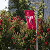 Temple Flag by red flowers