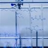 Grad%20Postdoctoral%20Positions%20Open%20Positions%20Banner.jpg